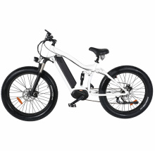 1000W Middle Motor Electric Mountain Bicycle with Fat Tire